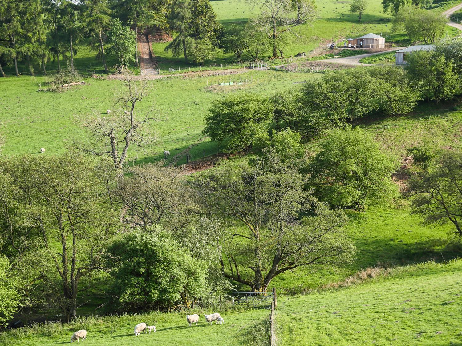 Vila Rolling Hills Newcastle  Exteriér fotografie