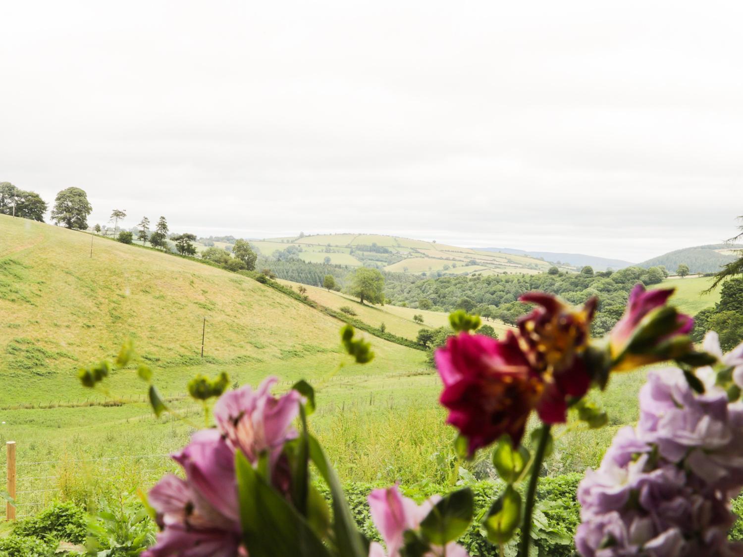 Vila Rolling Hills Newcastle  Exteriér fotografie